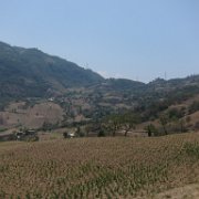 Cuauxinca _huauchinango21